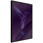 Artgeist Poster Affisch Purple Hummingbird [Poster] 40x60 A3-DRBPRP0698l_cr