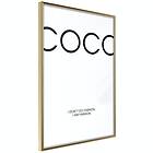 Artgeist Poster Affisch Coco [Poster] 20x30 A3-DRBPRP0635s_zr