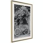 Artgeist Poster Affisch Bicycle and Flowers [Poster] 40x60 A3-DRBPRP0787l_zr_pp