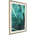 Artgeist Poster Affisch Be Nice [Poster] 20x30 A3-DRBPRP0407s_zr_pp