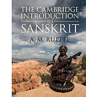 A M Ruppel: The Cambridge Introduction to Sanskrit
