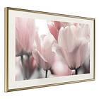 Artgeist Poster Affisch Fabulous Tulips [Poster] 60x40 A3-DRBPRP0107l_zr_pp