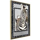 Artgeist Poster Affisch Zebra [Poster] 30x45 A3-DRBPRP0515m_zr