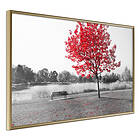 Artgeist Poster Affisch Red Tree [Poster] 60x40 A3-DRBPRP0103l_zr