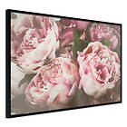 Artgeist Poster Affisch Pink Peonies [Poster] 45x30 A3-DRBPRP0083m_cr