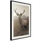 Artgeist Poster Affisch Deer in Sepia [Poster] 30x45 A3-DRBPRP0846m_cr_pp