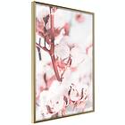 Artgeist Poster Affisch Blooming Cotton [Poster] 40x60 A3-DRBPRP1529l_zr