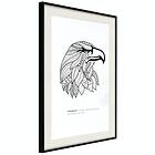 Artgeist Poster Affisch Eagle of Freedom [Poster] 30x45 A3-DRBPRP0803m_cr_pp