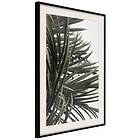 Artgeist Poster Affisch In the Shade of Palm Trees [Poster] 30x45 A3-DRBPRP1400m_cr_pp