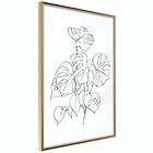 Artgeist Poster Affisch Monochrome Monstera [Poster] 30x45 A3-DRBPRP1041m_zr