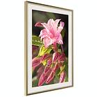 Artgeist Poster Affisch Natural Pink [Poster] 30x45 A3-DRBPRP1056m_zr_pp