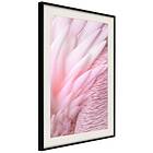 Artgeist Poster Affisch Feathers [Poster] 20x30 A3-DRBPRP0677s_cr_pp