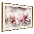 Artgeist Poster Affisch Magnolia Memory [Poster] 60x40 A3-DRBPRP0145l_zr_pp