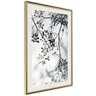 Artgeist Poster Affisch Blooming Twigs [Poster] 40x60 A3-DRBPRP0546l_zr_pp
