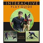 Craig Ogilvie: Interactive Play Guide