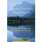 David A Treleaven: Trauma-Sensitive Mindfulness