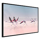 Artgeist Poster Affisch Flamingos Race [Poster] 30x20 A3-DRBPRP0126s_cr