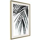 Artgeist Poster Affisch Palm Relax [Poster] 30x45 A3-DRBPRP1025m_zr_pp