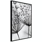 Artgeist Poster Affisch Morning Dew [Poster] 30x45 A3-DRBPRP0545m_cr