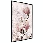 Artgeist Poster Affisch Mature Magnolia [Poster] 40x60 A3-DRBPRP0969l_cr