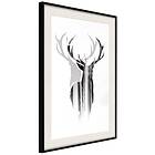 Artgeist Poster Affisch Prince of the Forest [Poster] 20x30 A3-DRBPRP1636s_cr_pp