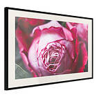 Artgeist Poster Affisch Rose Geometry [Poster] 45x30 A3-DRBPRP0111m_cr_pp
