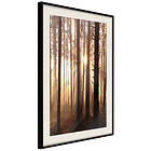 Artgeist Poster Affisch Forest Paths [Poster] 40x60 A3-DRBPRP1423l_cr_pp