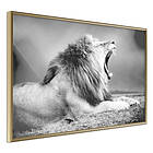 Artgeist Poster Affisch Deafening Roar [Poster] 45x30 A3-DRBPRP0087m_zr