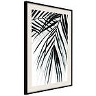 Artgeist Poster Affisch Palm Relax [Poster] 40x60 A3-DRBPRP1025l_cr_pp