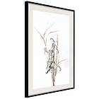 Artgeist Poster Affisch Composition of Herbs [Poster] 30x45 A3-DRBPRP0824m_cr_pp