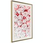 Artgeist Poster Affisch White Roses [Poster] 40x60 A3-DRBPRP0885l_zr_pp