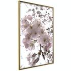 Artgeist Poster Affisch Cherry Blossoms [Poster] 30x45 A3-DRBPRP1692m_zr