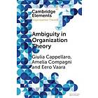 Giulia Cappellaro: Ambiguity in Organization Theory