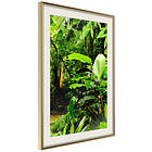 Artgeist Poster Affisch Lungs of the Earth [Poster] 30x45 A3-DRBPRP1495m_zr_pp