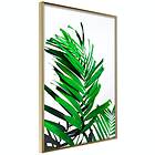 Artgeist Poster Affisch Juicy Leaf [Poster] 40x60 A3-DRBPRP1583l_zr