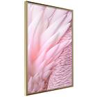 Artgeist Poster Affisch Feathers [Poster] 30x45 A3-DRBPRP0677m_zr