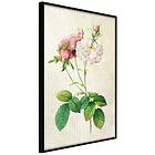 Artgeist Poster Affisch Floristic Chic [Poster] 20x30 A3-DRBPRP1166s_cr