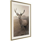 Artgeist Poster Affisch Deer in Sepia [Poster] 40x60 A3-DRBPRP0846l_zr_pp