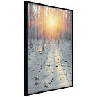 Artgeist Poster Affisch Winter Afternoon [Poster] 40x60 A3-DRBPRP1527l_cr