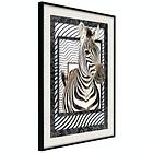 Artgeist Poster Affisch Zebra [Poster] 40x60 A3-DRBPRP0515l_cr_pp