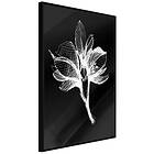 Artgeist Poster Affisch Night Flower [Poster] 40x60 A3-DRBPRP1048l_cr