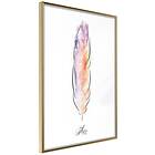 Artgeist Poster Affisch Colourful Feather [Poster] 20x30 A3-DRBPRP0699s_zr