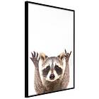 Artgeist Poster Affisch Raccoon [Poster] 40x60 A3-DRBPRP0413l_cr