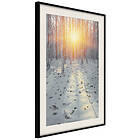Artgeist Poster Affisch Winter Afternoon [Poster] 30x45 A3-DRBPRP1527m_cr_pp