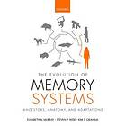 Elisabeth A Murray: The Evolution of Memory Systems