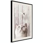 Artgeist Poster Affisch Cat's Nature [Poster] 40x60 A3-DRBPRP1713l_cr_pp