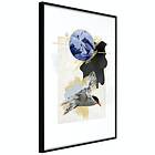 Artgeist Poster Affisch Antarctic Tern [Poster] 40x60 A3-DRBPRP0586l_cr