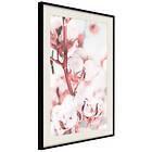 Artgeist Poster Affisch Blooming Cotton [Poster] 40x60 A3-DRBPRP1529l_cr_pp