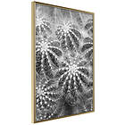 Artgeist Poster Affisch Risky Adventure [Poster] 30x45 A3-DRBPRP0797m_zr
