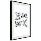 Artgeist Poster Affisch Four Butterflies [Poster] 30x45 A3-DRBPRP0628m_cr_pp